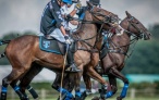 Pony Welfare Fares Well